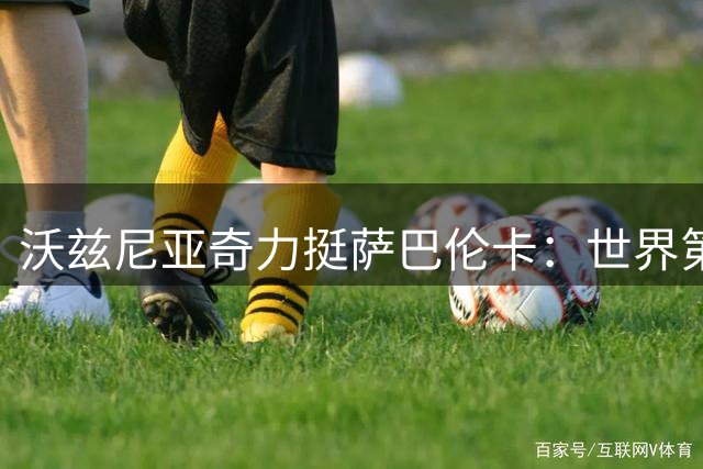 沃兹尼亚奇力挺萨巴伦卡：世界第一也需要喘息空间